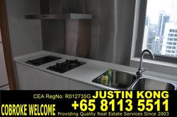 Park Infinia At Wee Nam (D11), Condominium #174180882
